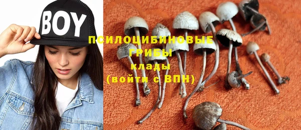 синтетический гашиш Нязепетровск