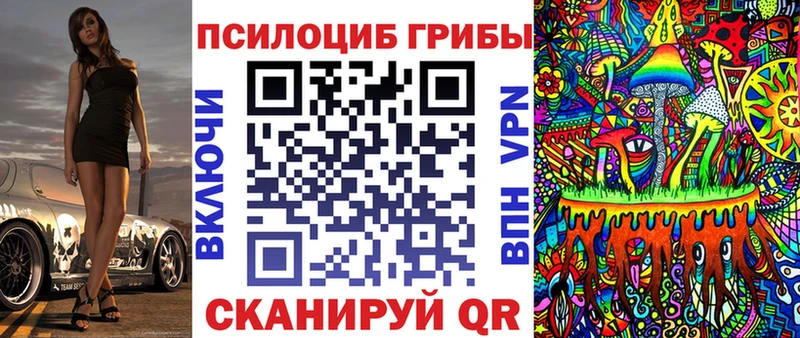 Псилоцибиновые грибы Psilocybe  ОМГ ОМГ маркетплейс  Кадников  продажа наркотиков 