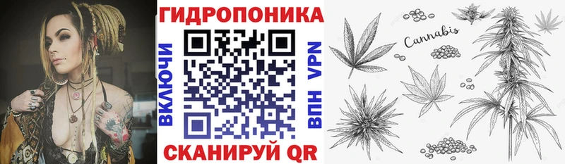 где можно купить   Кадников  Конопля LSD WEED 